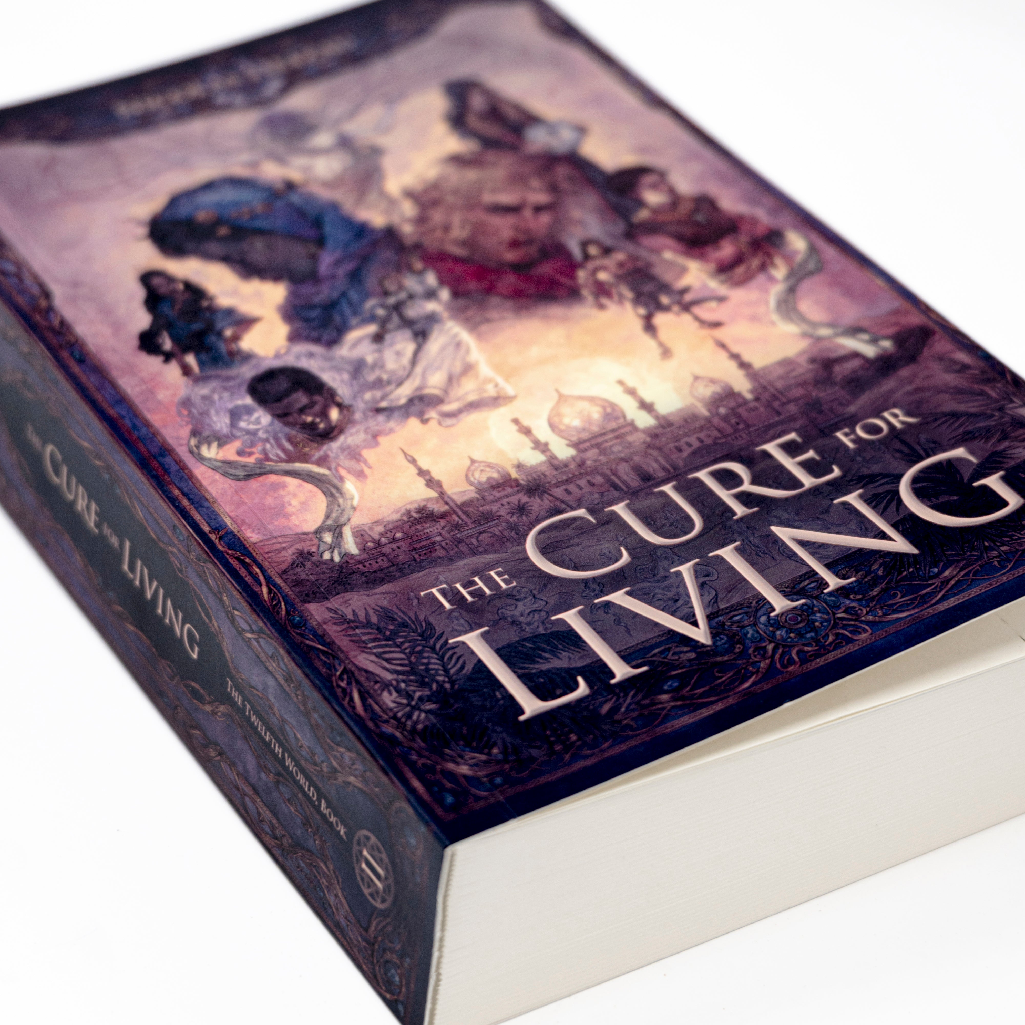 The Cure for Living, Part One - Paperback – The Twelfth World